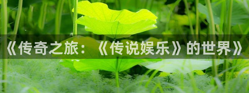 摩登娱乐入口